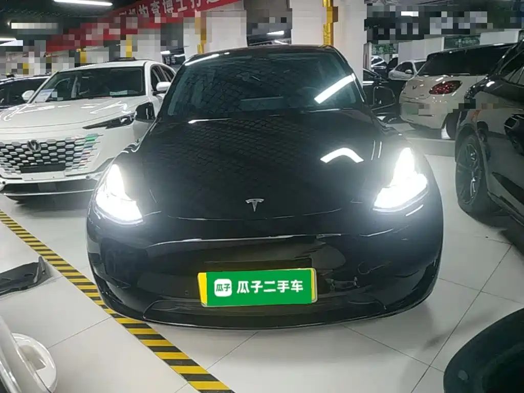Tesla Model Y — миниатюра 3