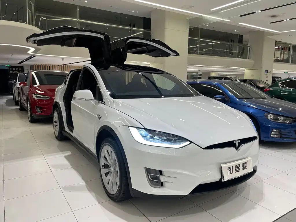 Tesla Model X — миниатюра 2