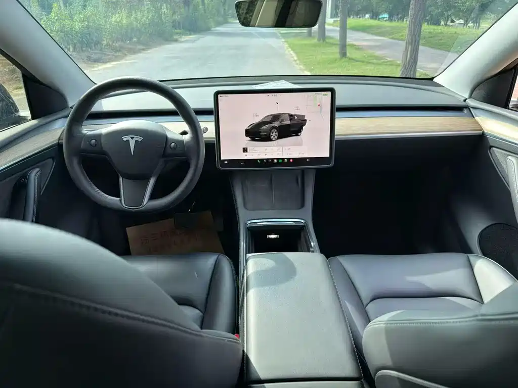 Tesla Model Y — миниатюра 6