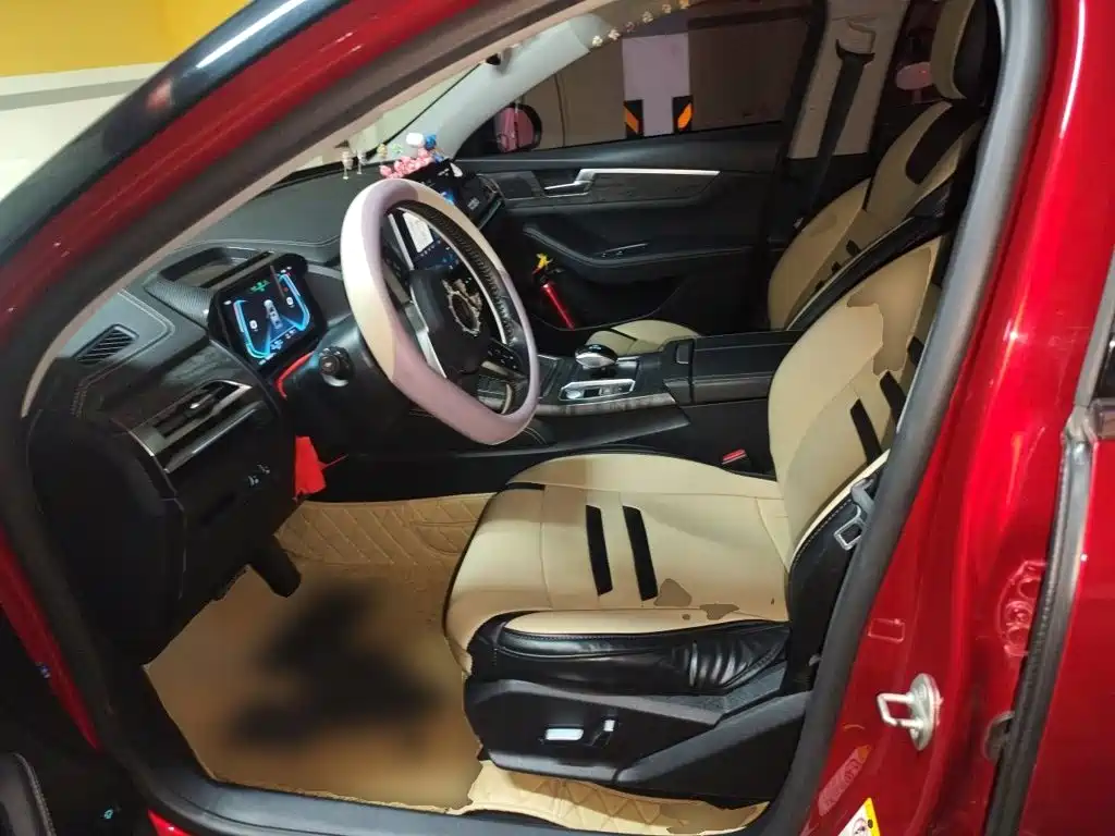 BYD Qin Pro NEV — миниатюра 11