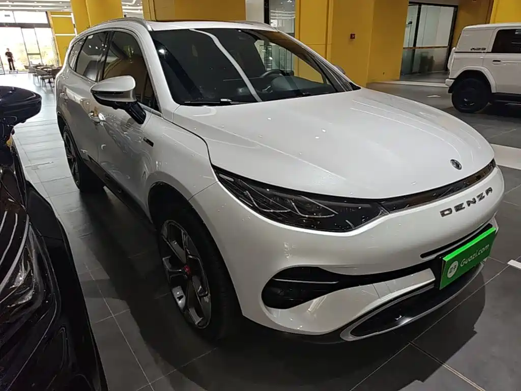 Denza Denza X — миниатюра 4