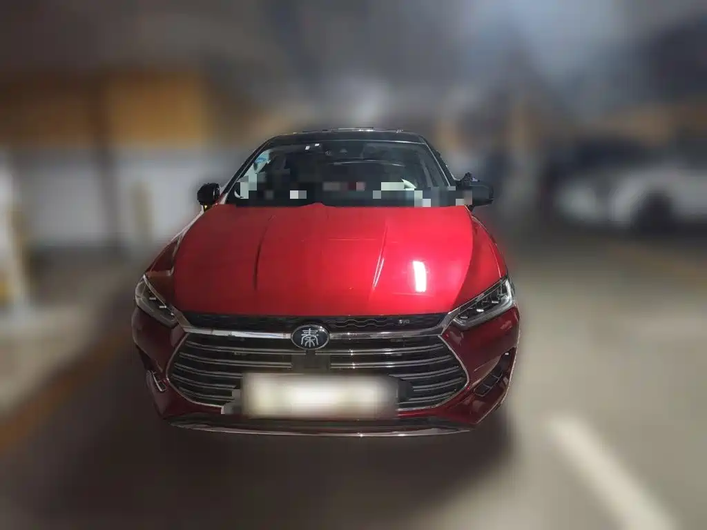 BYD Qin Pro NEV — миниатюра 2