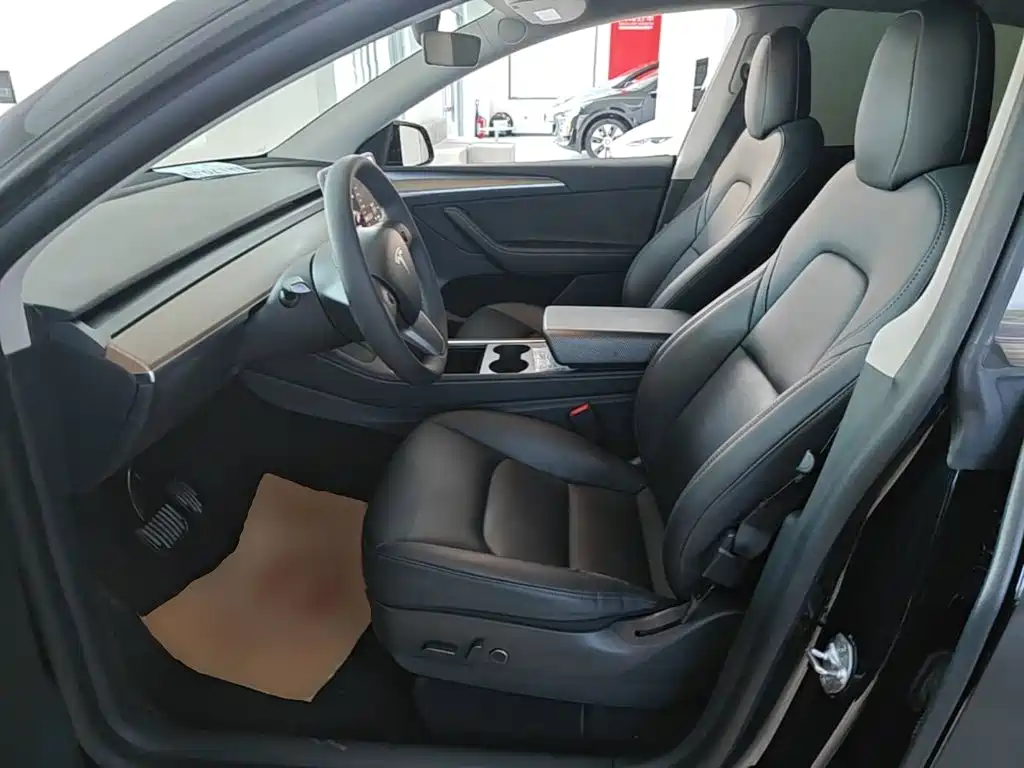 Tesla Model Y — миниатюра 15