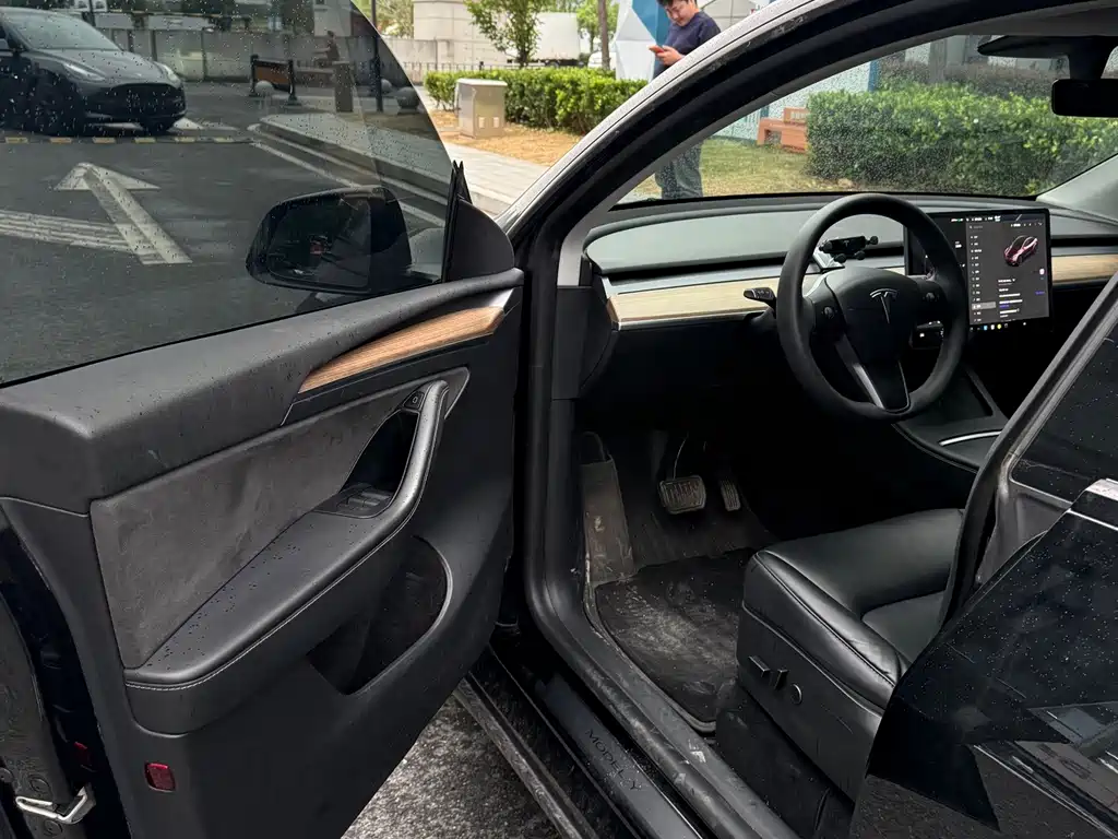 Tesla Model Y — миниатюра 6