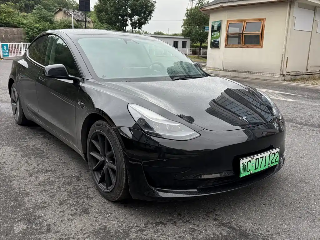 Tesla Model 3 — миниатюра 3
