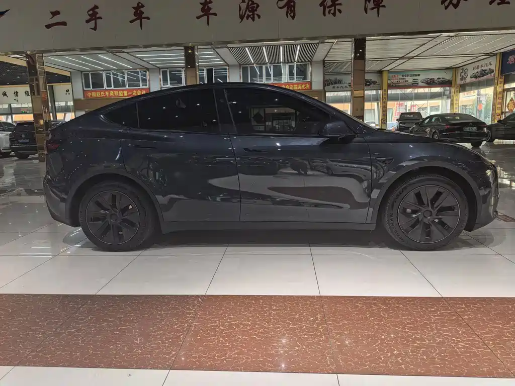 Tesla Model Y — миниатюра 4