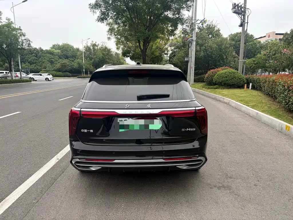 Hongqi Hongqi E-HS9 — миниатюра 7