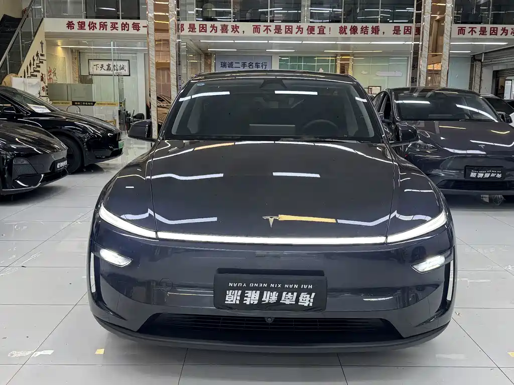 Tesla Model Y — миниатюра 2