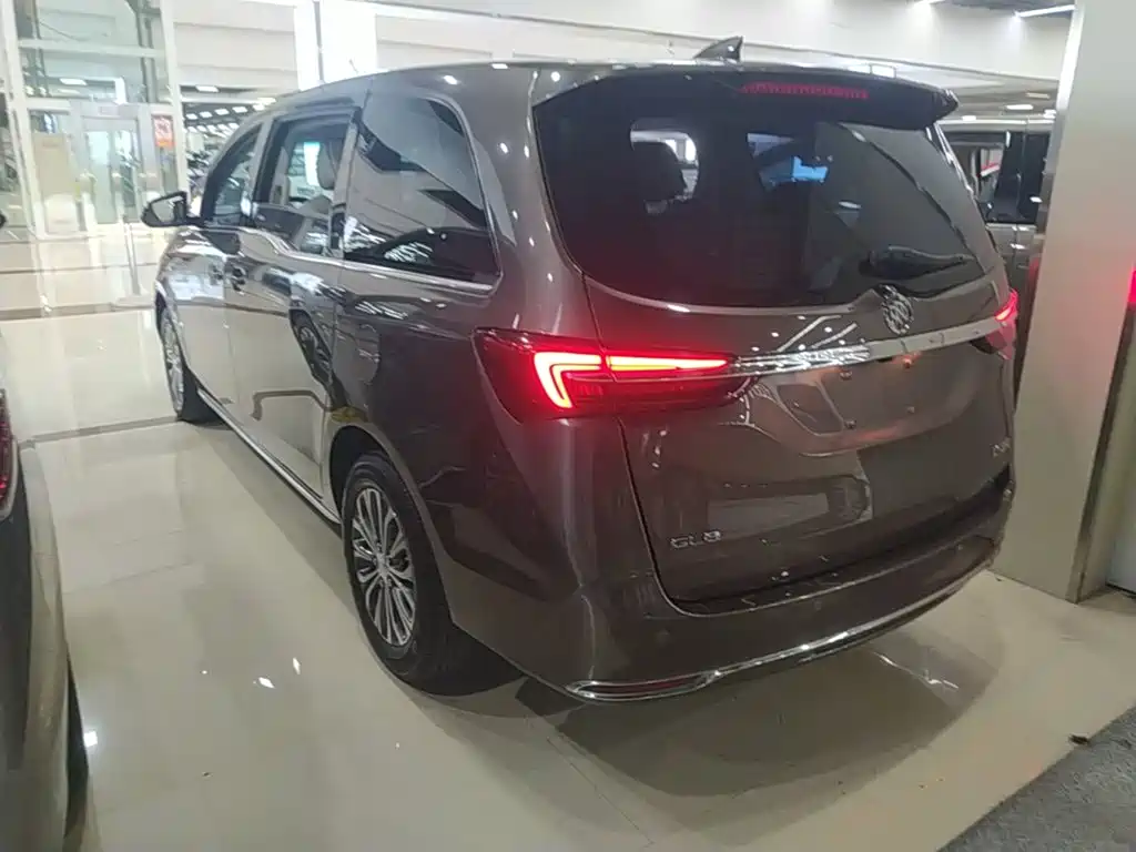 Buick GL8 — миниатюра 5