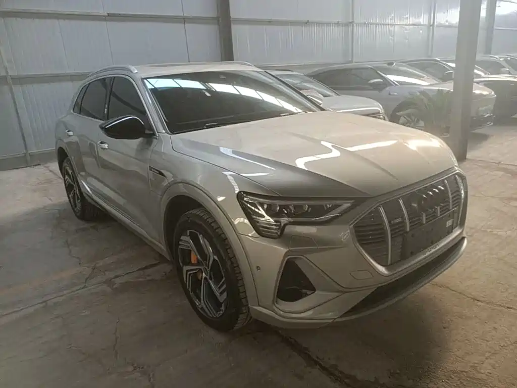 Audi e-tron — миниатюра 4