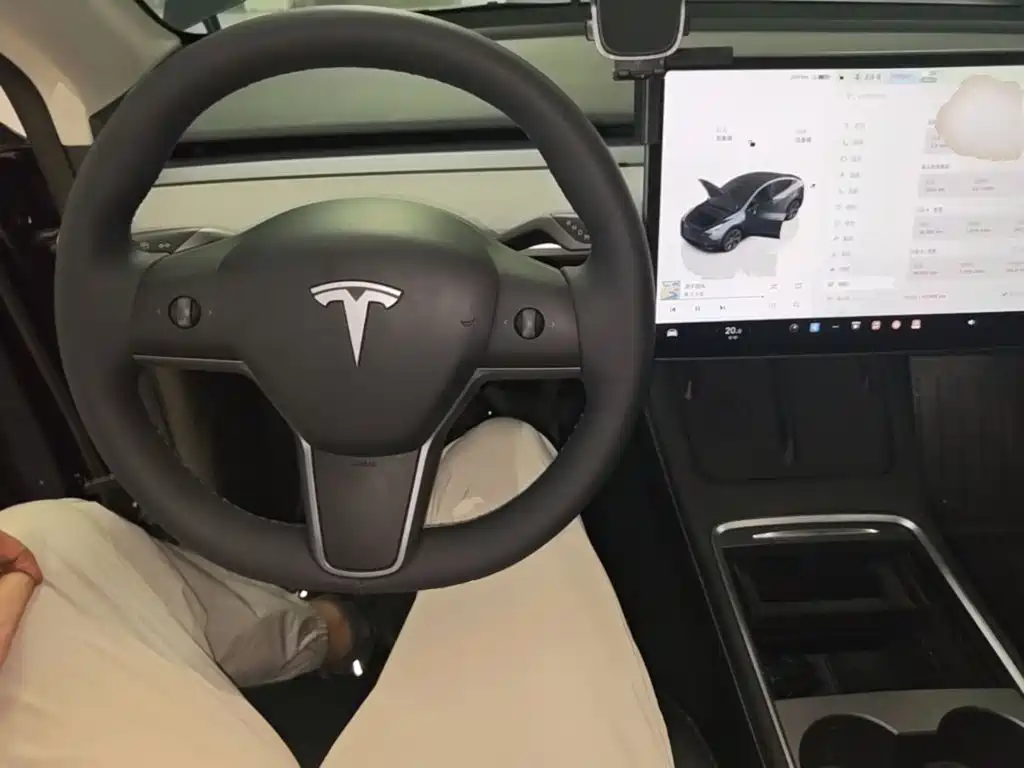 Tesla Model Y — миниатюра 10