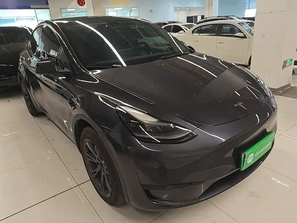 Tesla Model Y — миниатюра 4