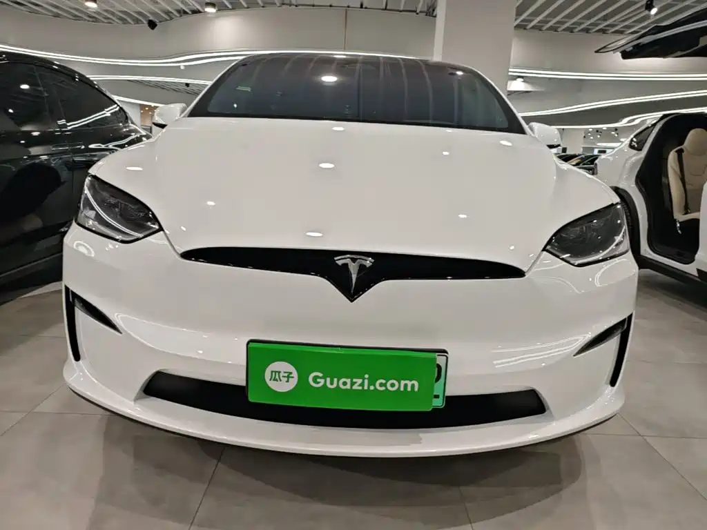 Tesla Model X — миниатюра 3