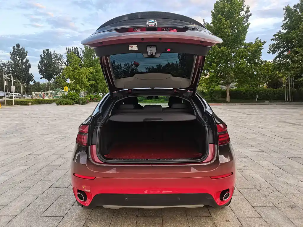 BMW X6 — миниатюра 12