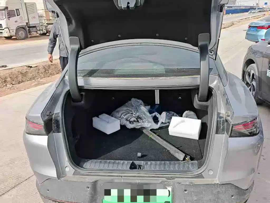 ARCFOX EXTREME FOX POLAR FOX ALPHA S5