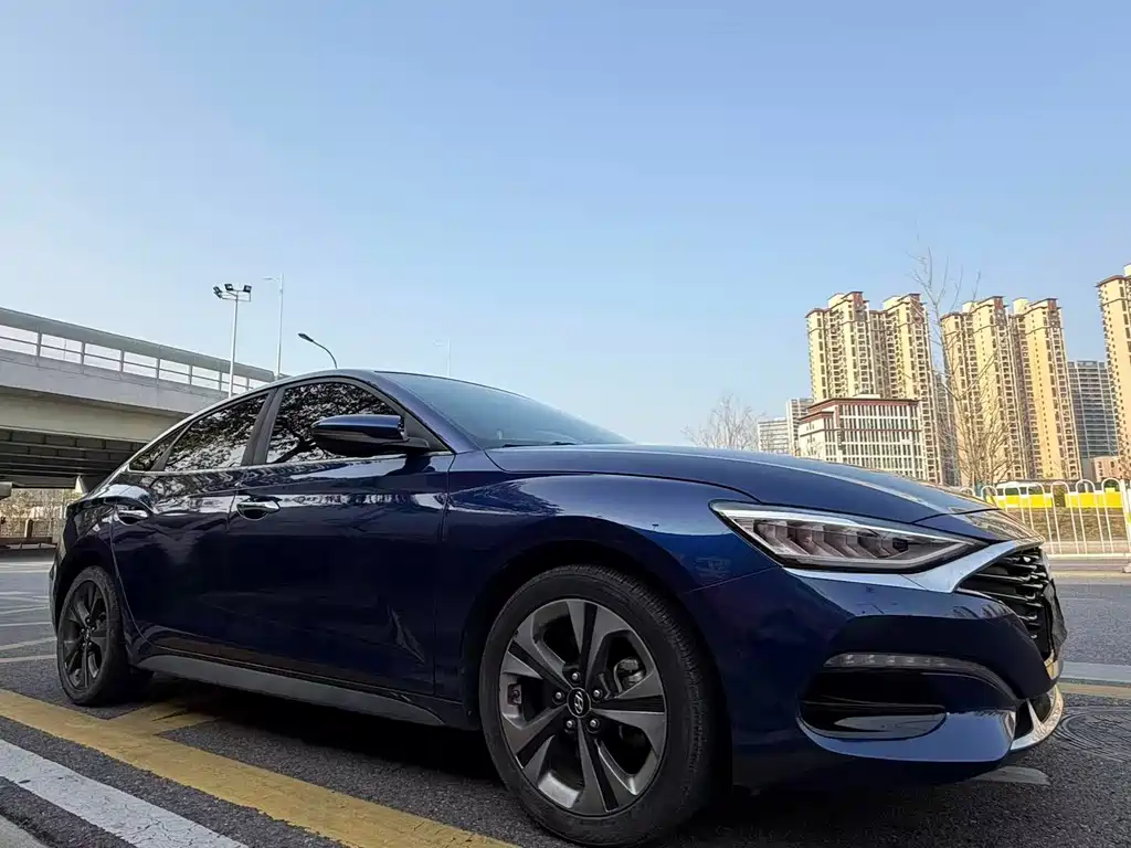 Hyundai Fista — миниатюра 3