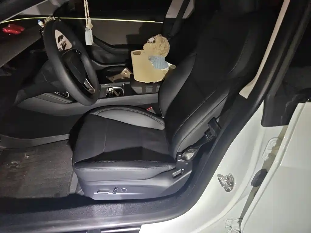 Tesla Model 3 — миниатюра 8