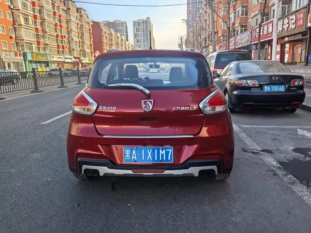 BAOJUN 310
