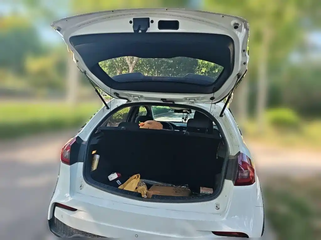 Geely Vision X3 — миниатюра 10