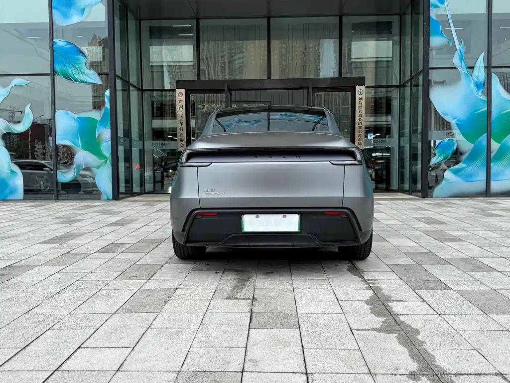 Tesla Model Y — миниатюра 5
