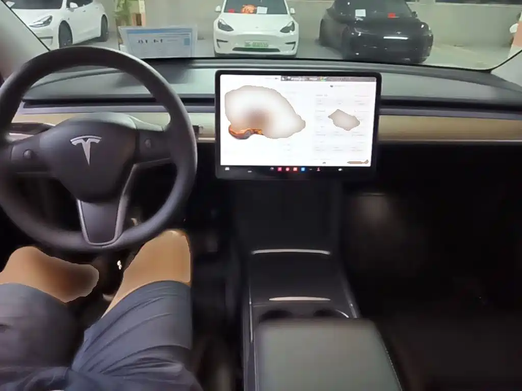 Tesla Model Y — миниатюра 10