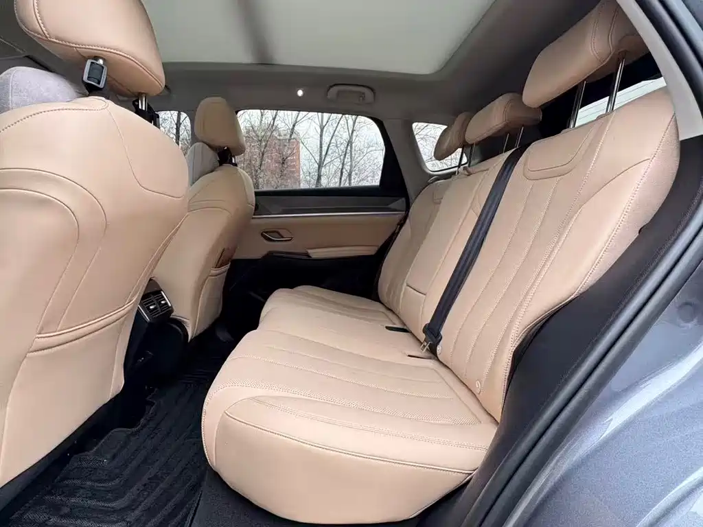 BYD SONGJIANG NEW ENERGY