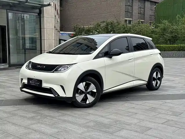 2023 BYD Dolphin