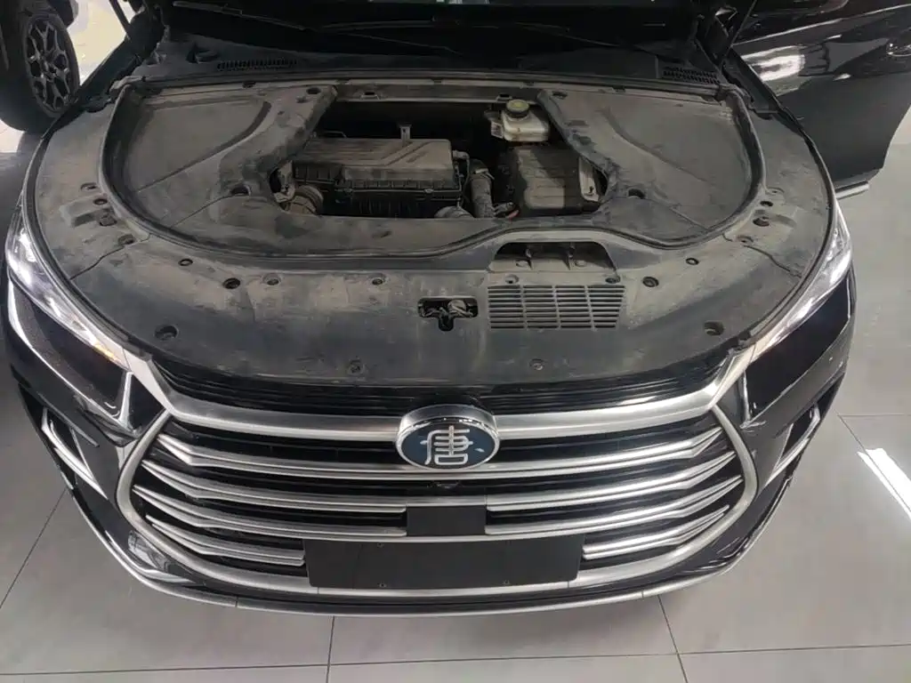 BYD Tang New Energy — миниатюра 16