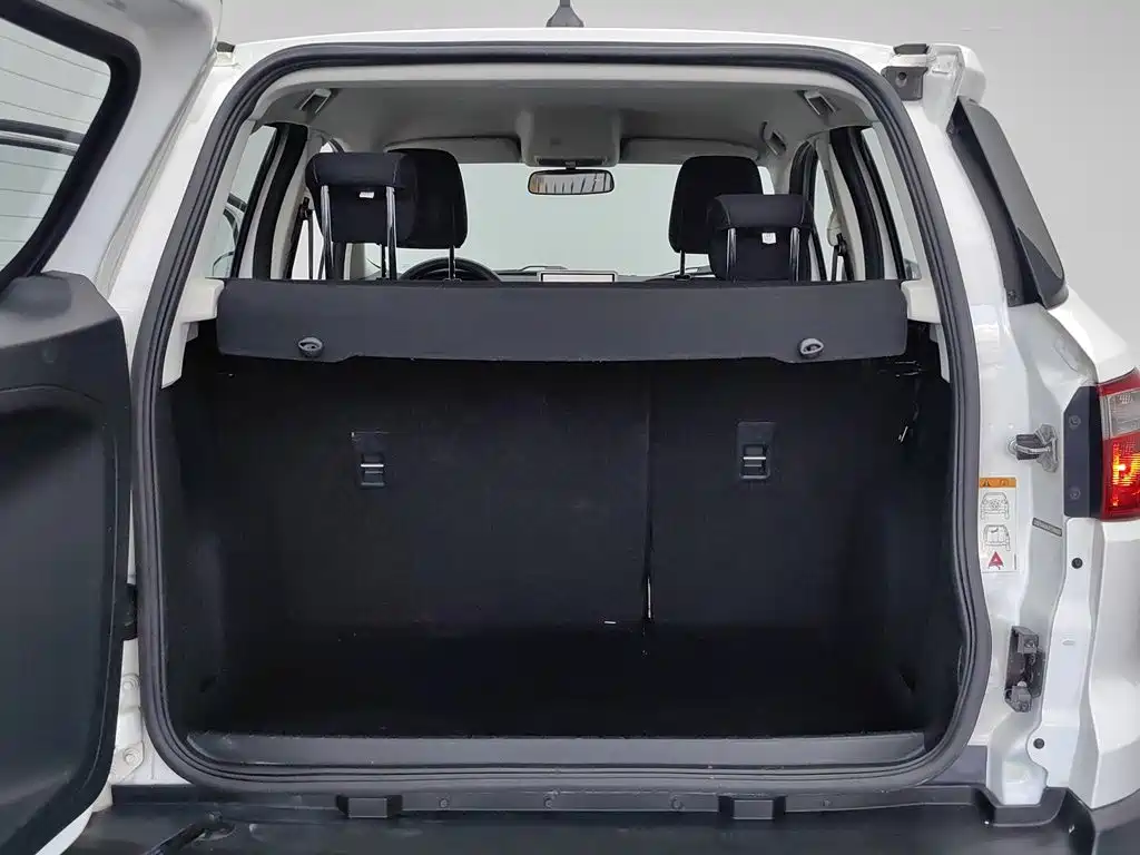 Ford Ecosport — миниатюра 16
