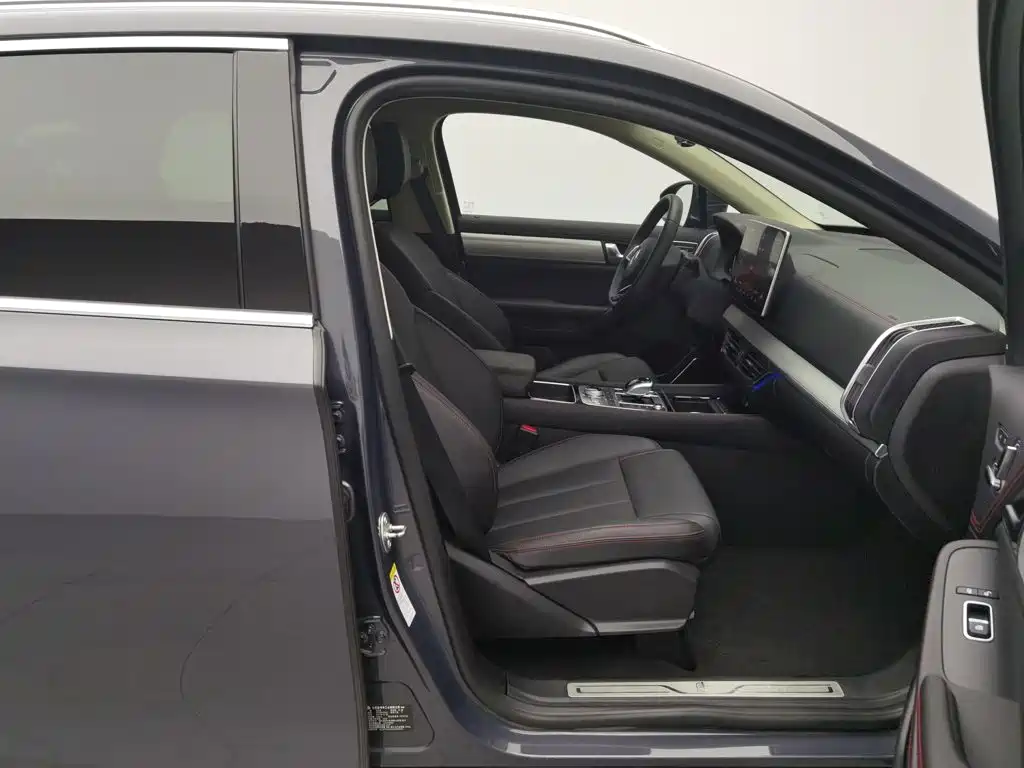 BYD Tang New Energy — миниатюра 23