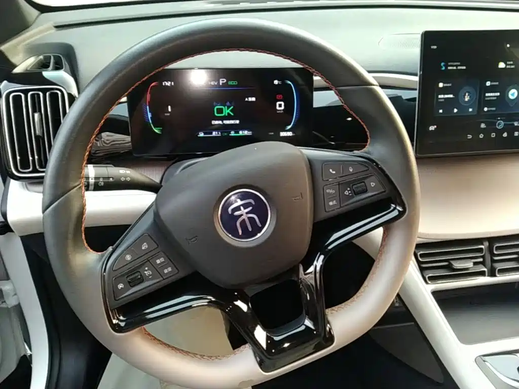 BYD Pro New Energy — миниатюра 11