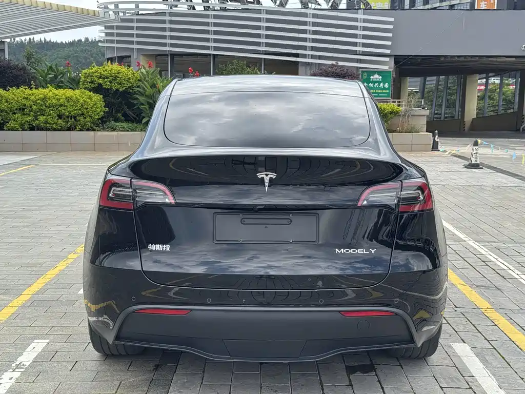 Tesla Model Y — миниатюра 11