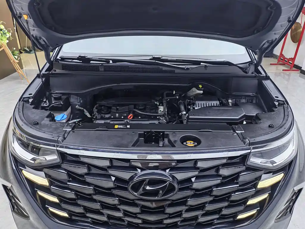 Hyundai Custo — миниатюра 18