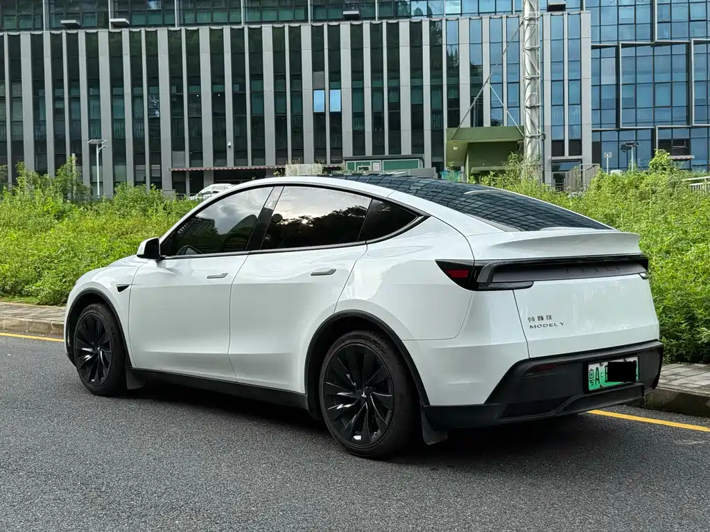 Tesla Model Y — миниатюра 18