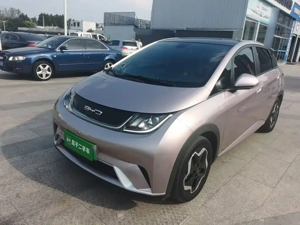 BYD Dolphin — миниатюра 2