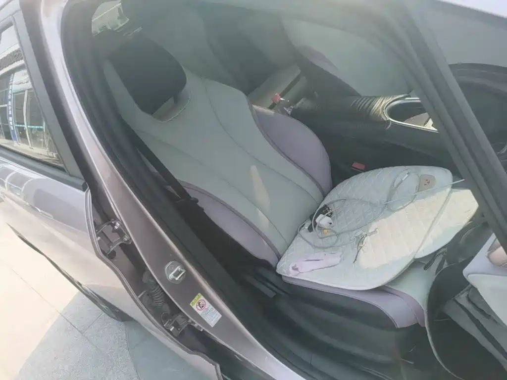 BYD Dolphin — миниатюра 25