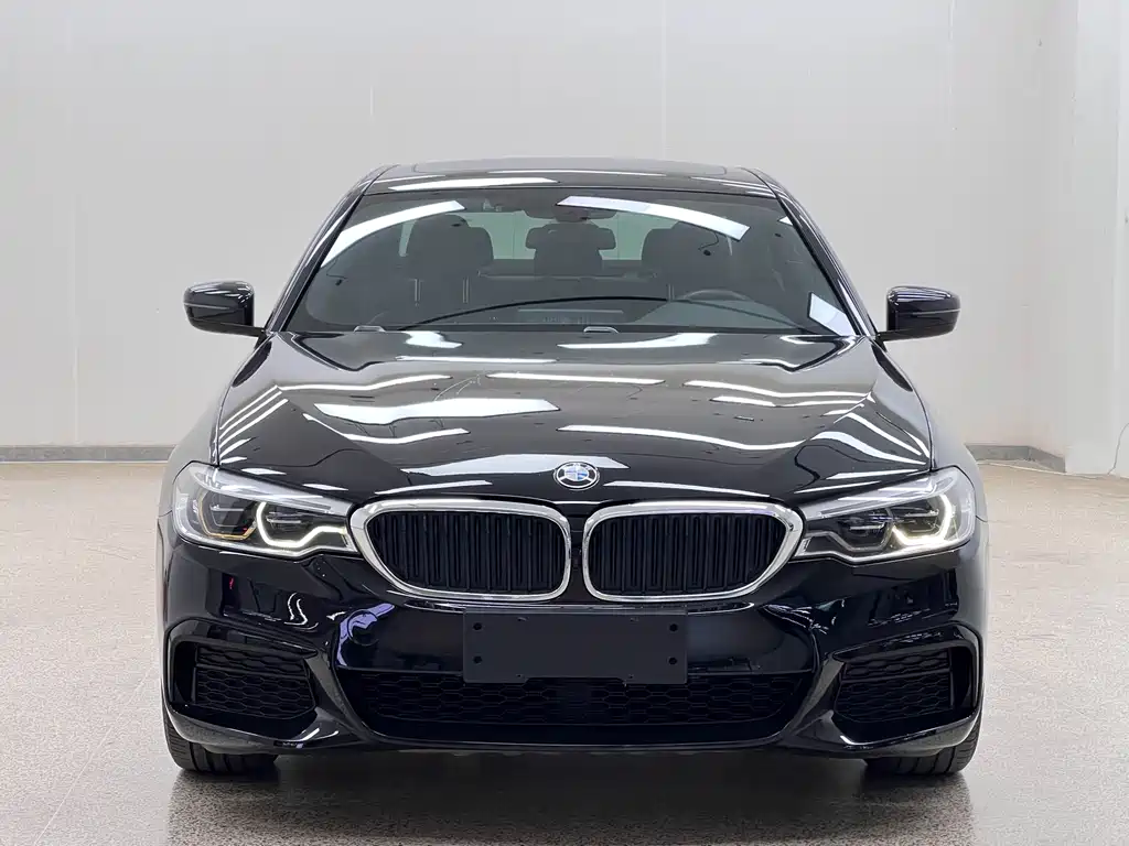 BMW 5 Series (Import) — миниатюра 2