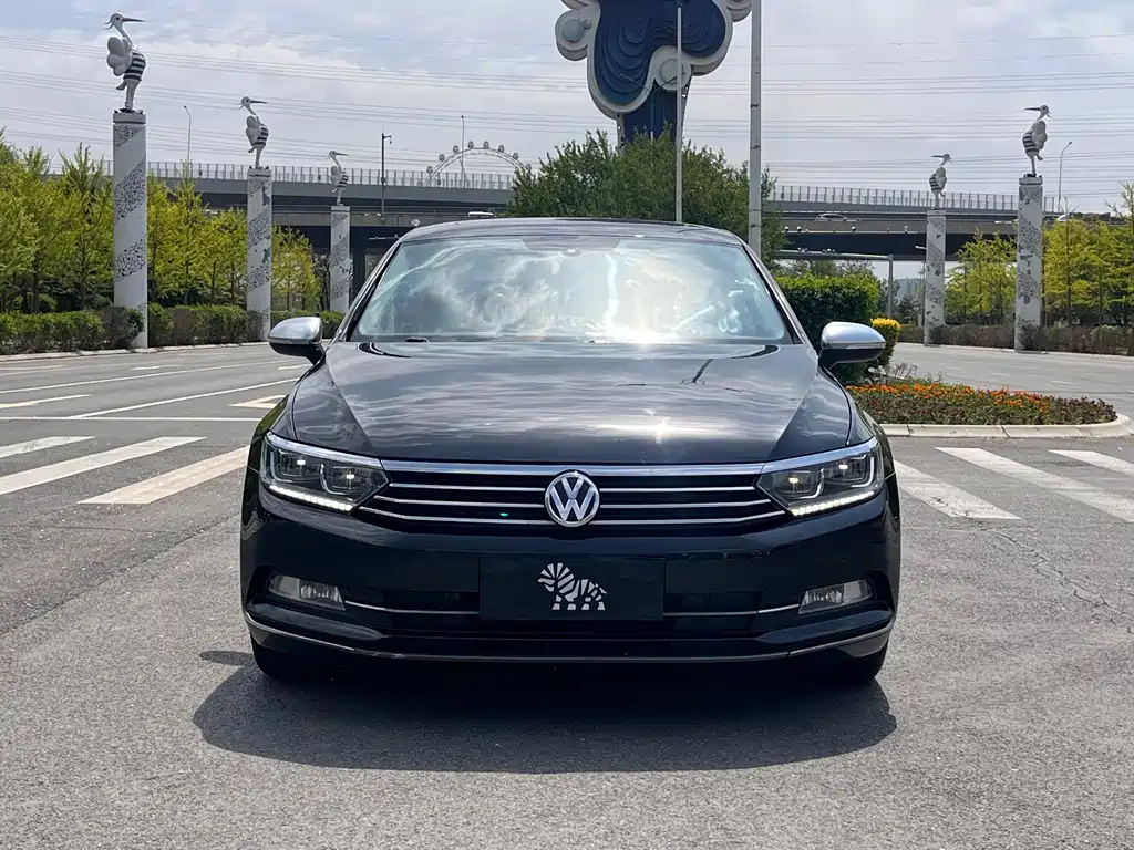 Volkswagen Magotan 2018 330TSI DSG Luxury
