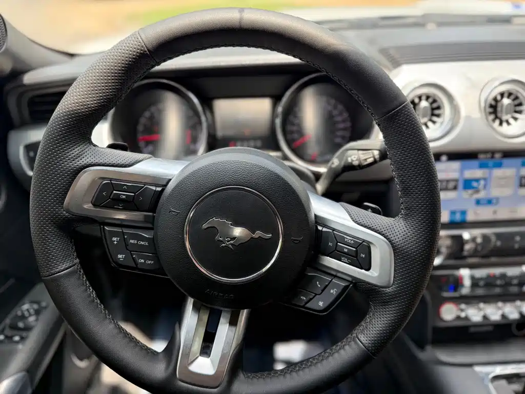Ford Mustang — миниатюра 6