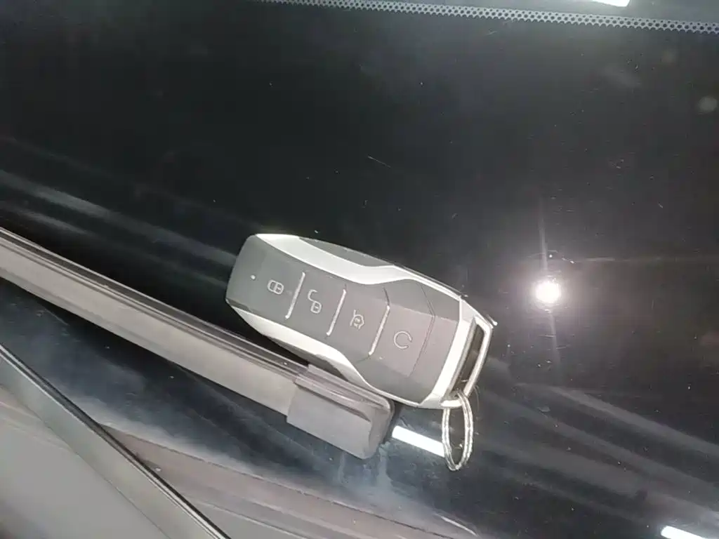 BYD PLUS New Energy — миниатюра 9