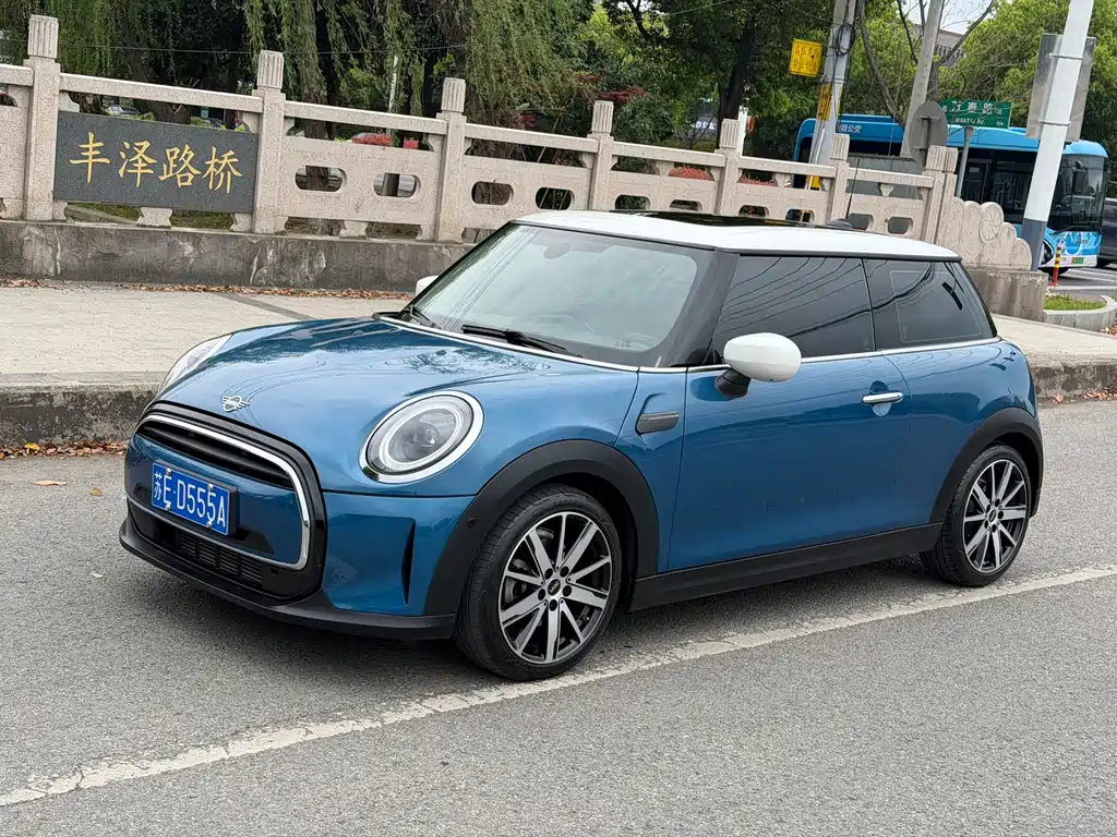 Mini Mini 2021