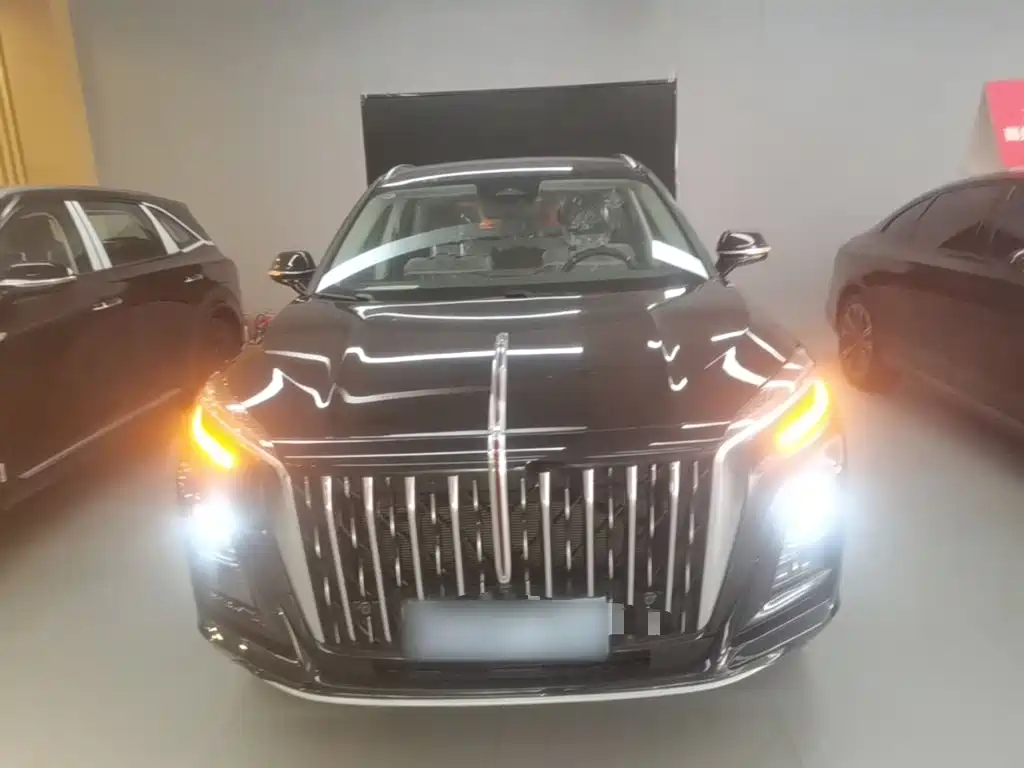 Hongqi Hongqi HS3 PHEV — миниатюра 3