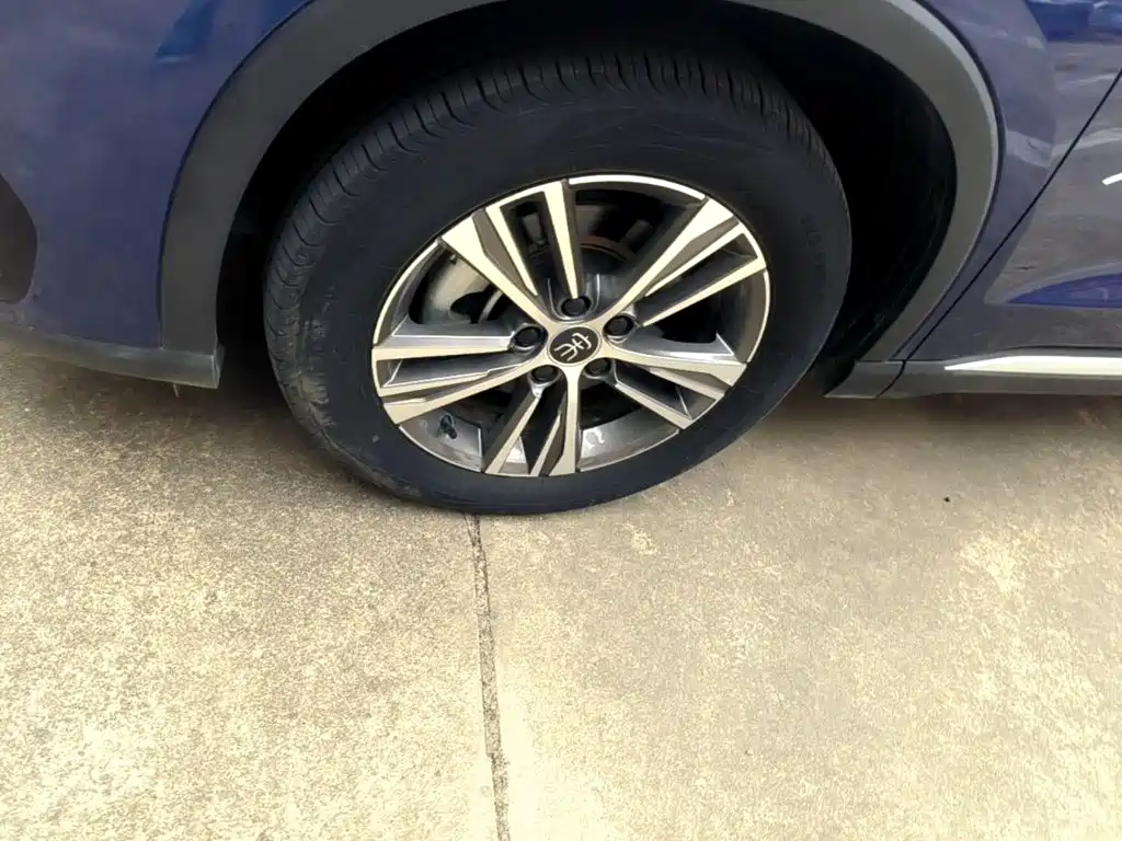BYD Pro New Energy — миниатюра 23