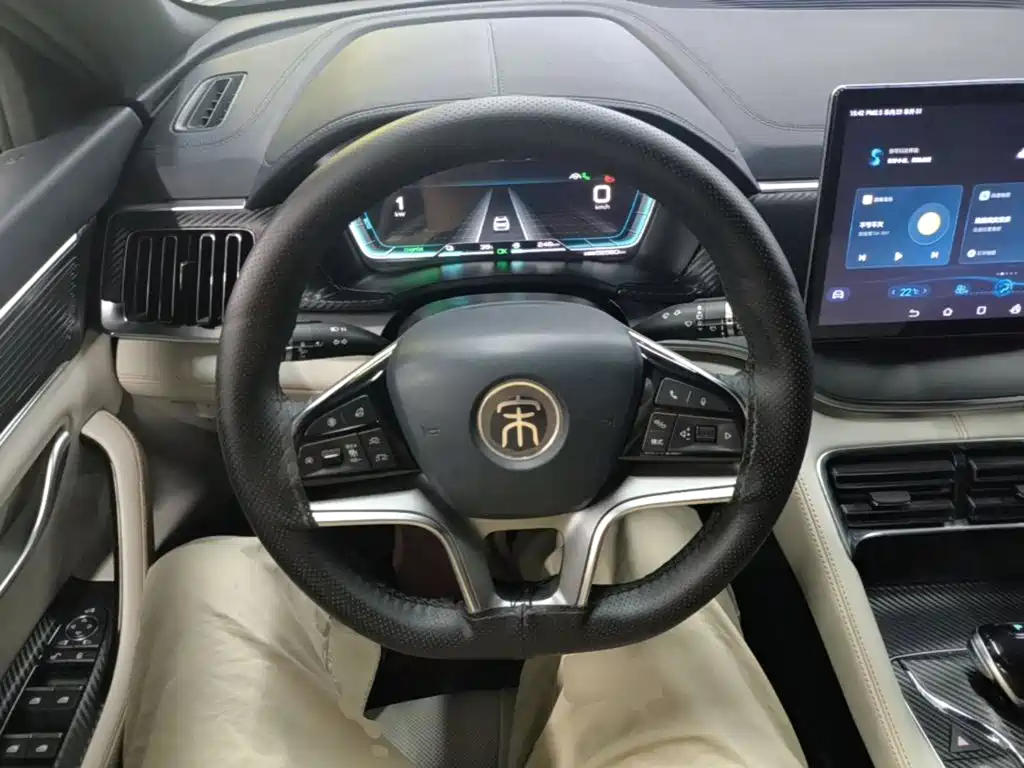 BYD PLUS New Energy — миниатюра 11