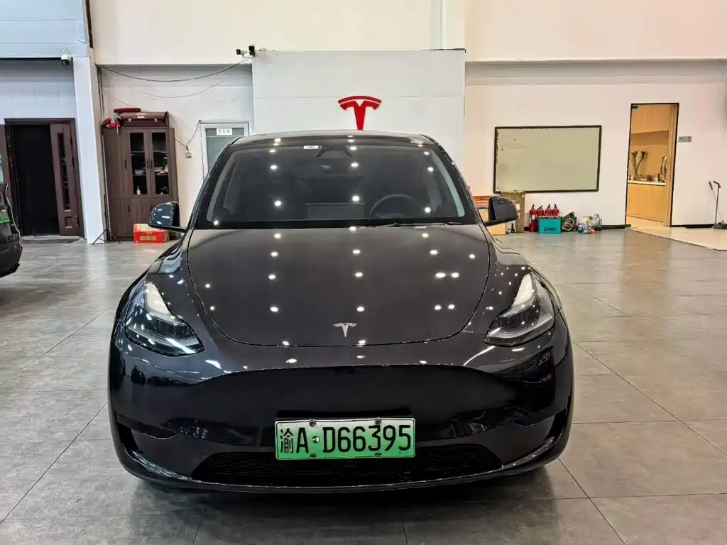 Tesla Model Y — миниатюра 2