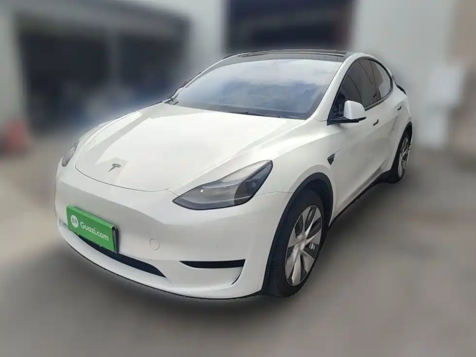 Tesla Model Y — миниатюра 25