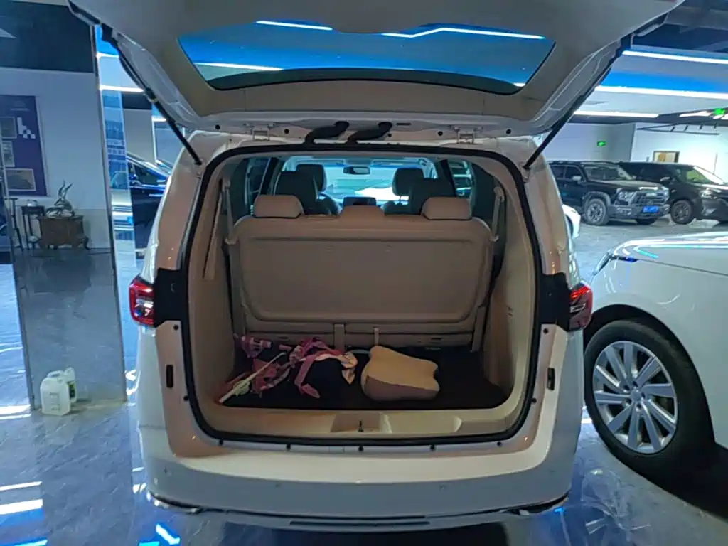 Buick GL8 — миниатюра 19