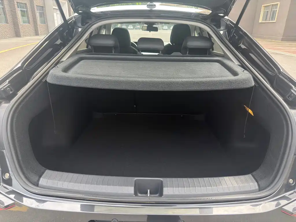 Volkswagen Lamando — миниатюра 13