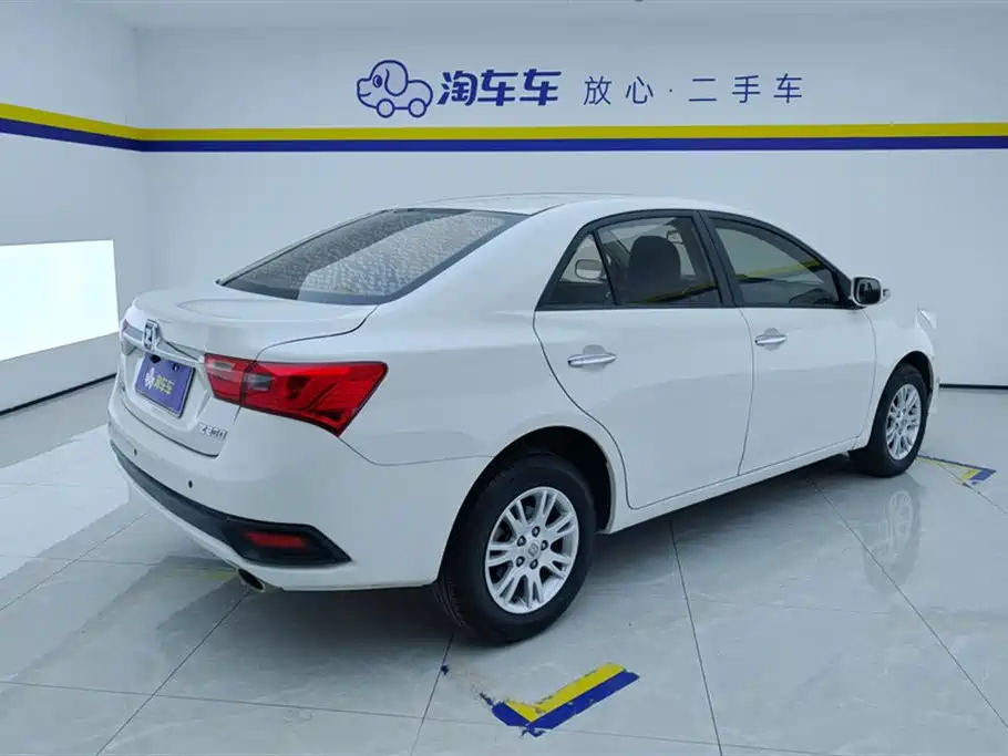 ZOTYE Z300