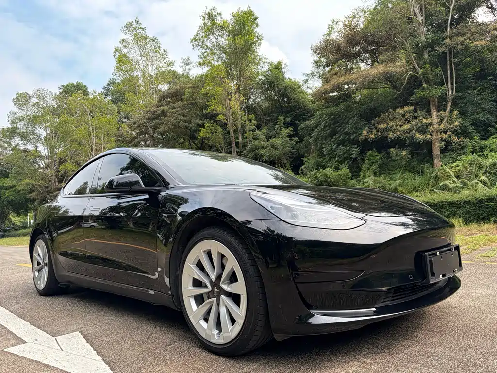 Tesla Model 3 — миниатюра 3